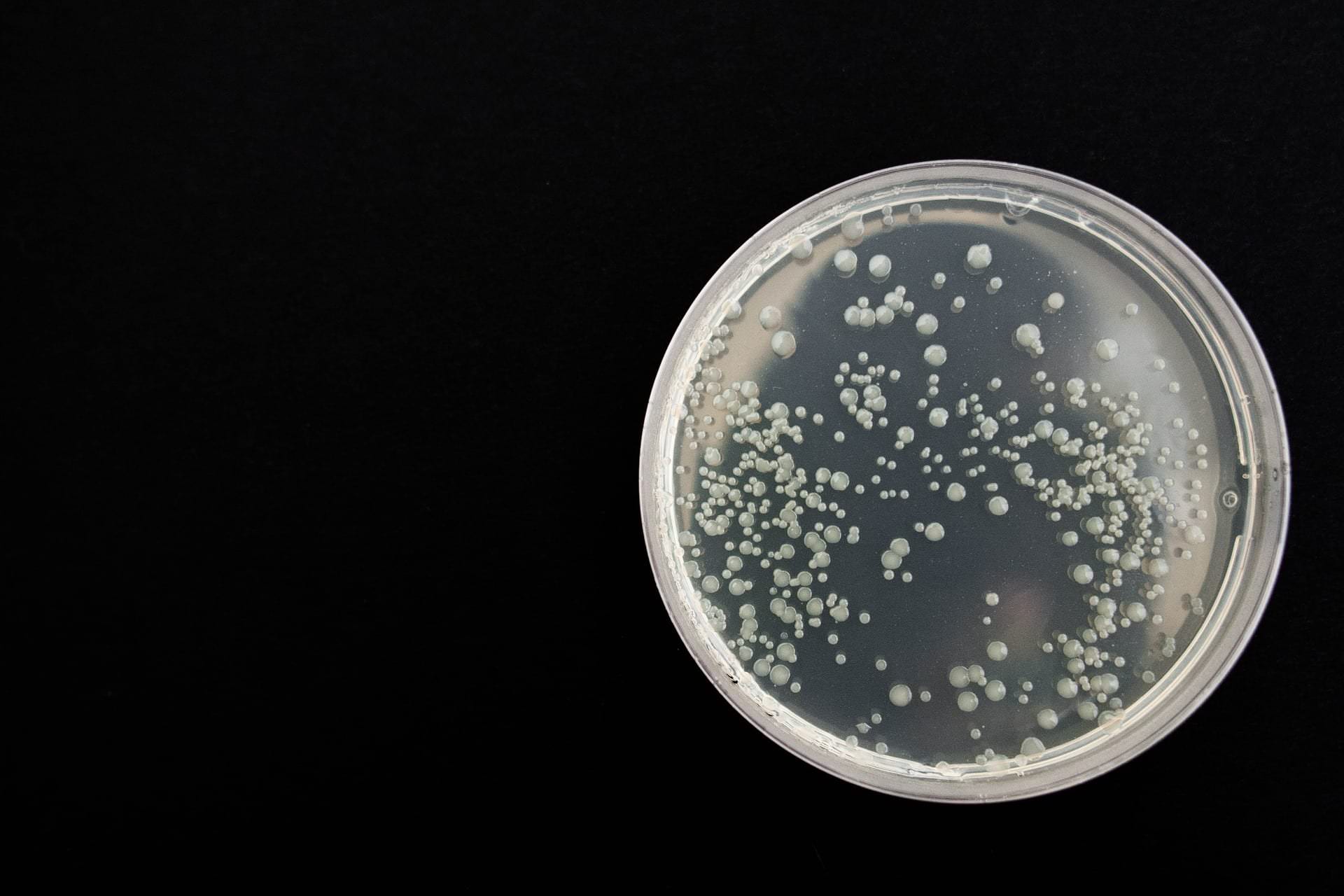Antibiotic Resistance: Causes, Stats & What’s Next